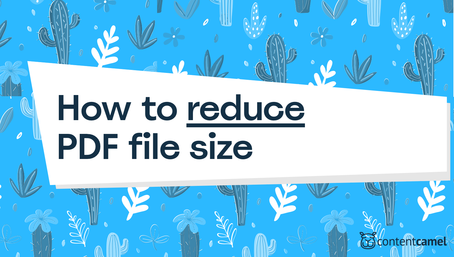 How To Reduce the File Size of a PDF